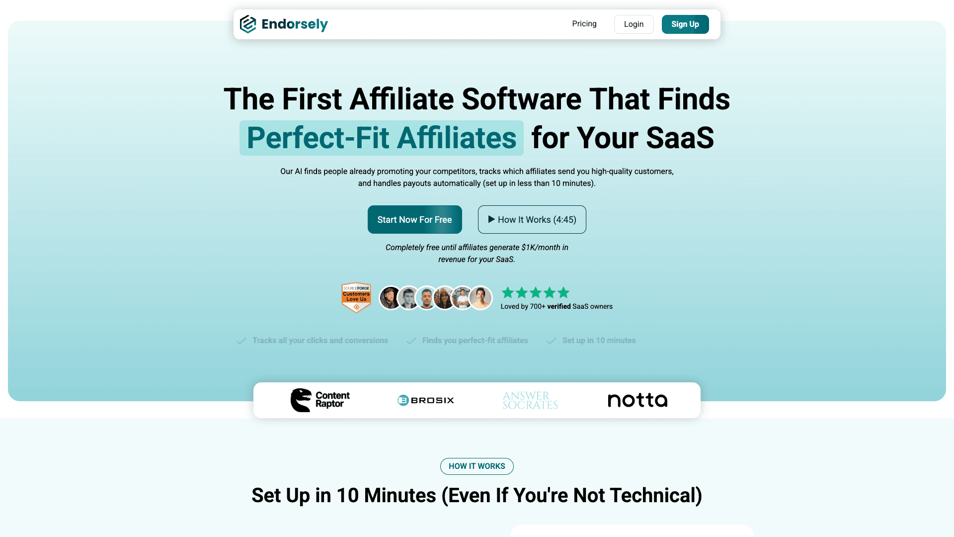 Endorsely - Product Image